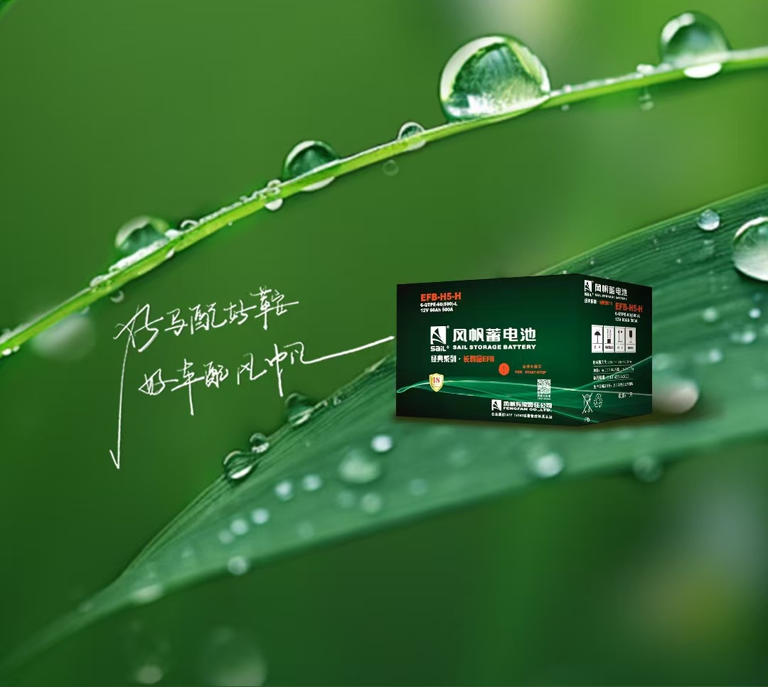中船風(fēng)帆榮獲中國(guó)輕工業(yè)聯(lián)合會(huì)科學(xué)技術(shù)進(jìn)步獎(jiǎng)